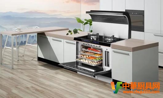 持續(xù)提升品牌服務(wù) 讓品質(zhì)廚電塑造品質(zhì)生活 持續(xù)引領(lǐng)高端市場
