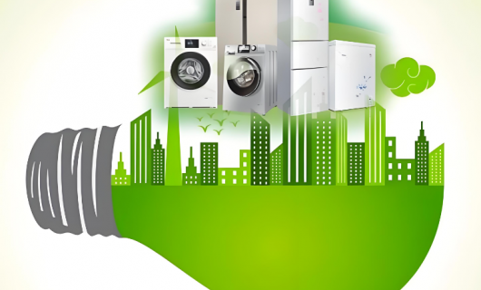 2025年家電業(yè)綠色展望：碳足跡引領新風尚，共繪綠色發(fā)展藍圖