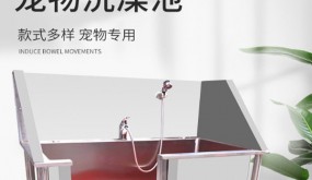 山東美星<span id=
