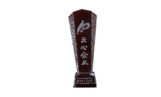 十年初心，百年匠心！祝賀潮邦集成灶榮獲“10年匠心企業”稱號