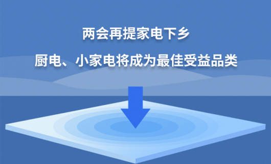兩會(huì)要點(diǎn)：廚電、小家電將成為最佳受益品類(lèi)