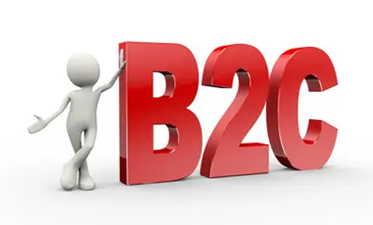 ◆探索B2C發展模式