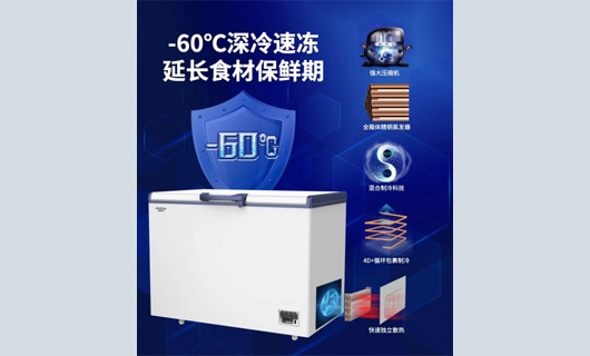 野菜搶鮮上市，澳柯瑪-60℃冷柜留住春天味道