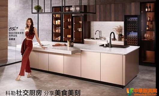 從科勒廚房品牌提升 看<span id=