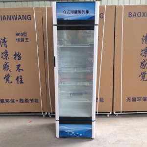 河南鄭州市經典品牌雪惠美展示冰柜高效穩定 品質之選