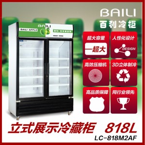 廣東東莞市環保品牌百利展示冰柜口碑之選 用戶好評如潮
