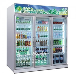 廣東深圳市實(shí)力品牌東洋冷柜展示冰柜一站式服務(wù) 購物無憂