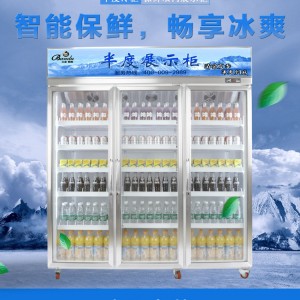 廣東佛山市親民品牌半度斯雅展示冰柜功能全面 滿足您的各種需求