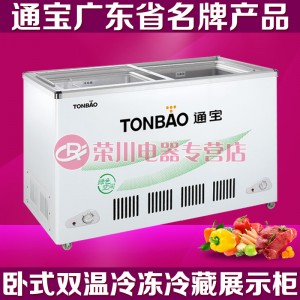 廣東廣州市高端品牌通寶臥式冷凍冰柜<span id=