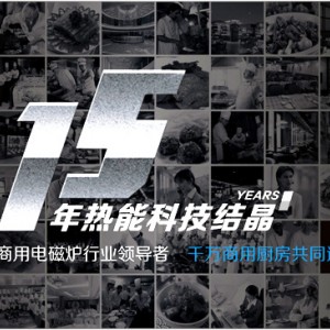 廣東東莞市品牌華道雙頭單尾電磁炒灶品質保證 售后無憂