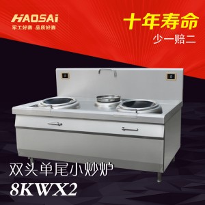 廣東東莞市口碑好品牌haosai雙頭單尾電磁炒灶精美外觀 彰顯品味
