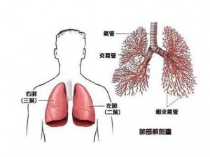 肺癌防治(肺癌十大品牌排行榜)