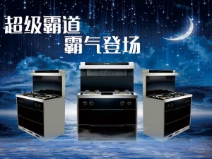賀喜集成灶價格(賀喜集成灶十大品牌排行榜)